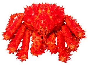 Red Alaskan King Sea Crab