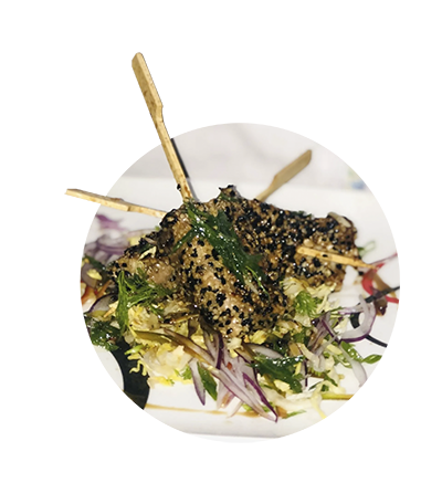 plato12